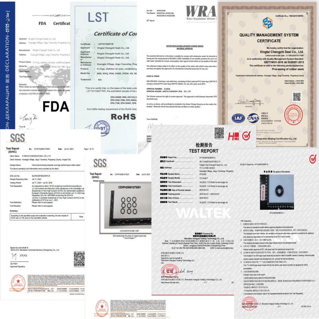 TCN Oil Seal z O-Ring Skeleton Seal i kombinowaną pralką 21