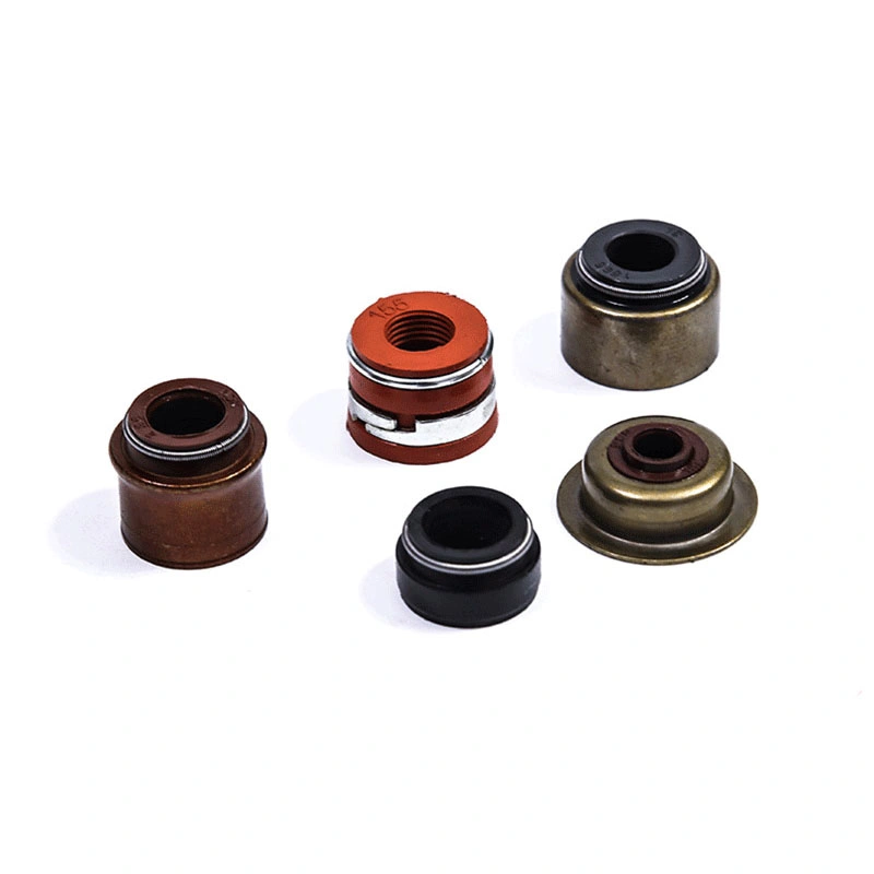 TCN Oil Seal z O-Ring Skeleton Seal i kombinowaną pralką 10