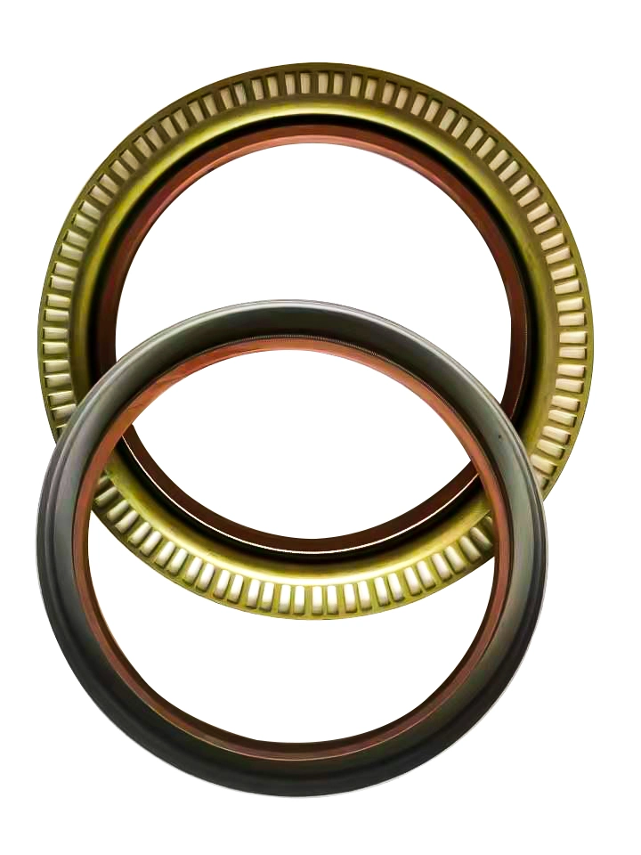 TCN Oil Seal z O-Ring Skeleton Seal i kombinowaną pralką 13